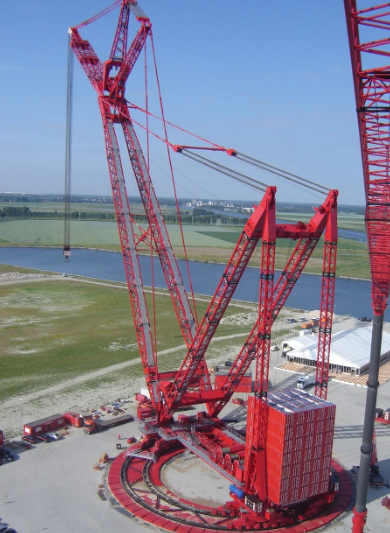 Red-Crane.png Red-Crane.png